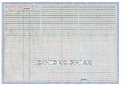 Диплом магистра с приложением образца 2000-2010 года - Фото 4