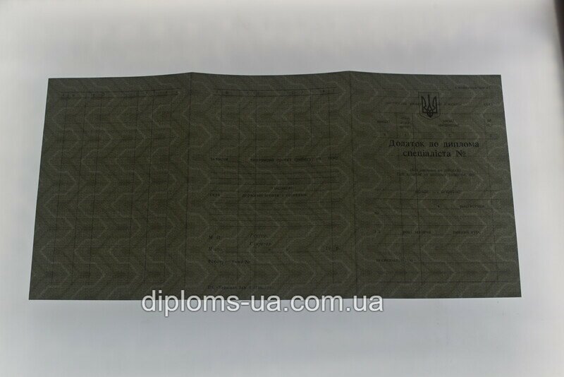 Диплом специалиста с приложением образца 1993-1999 года - Фото 10 Диплом специалиста с приложением образца 1993-1999 года - Фото 10