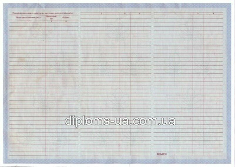 Диплом специалиста с приложением образца 2000-2010 года - Фото 4