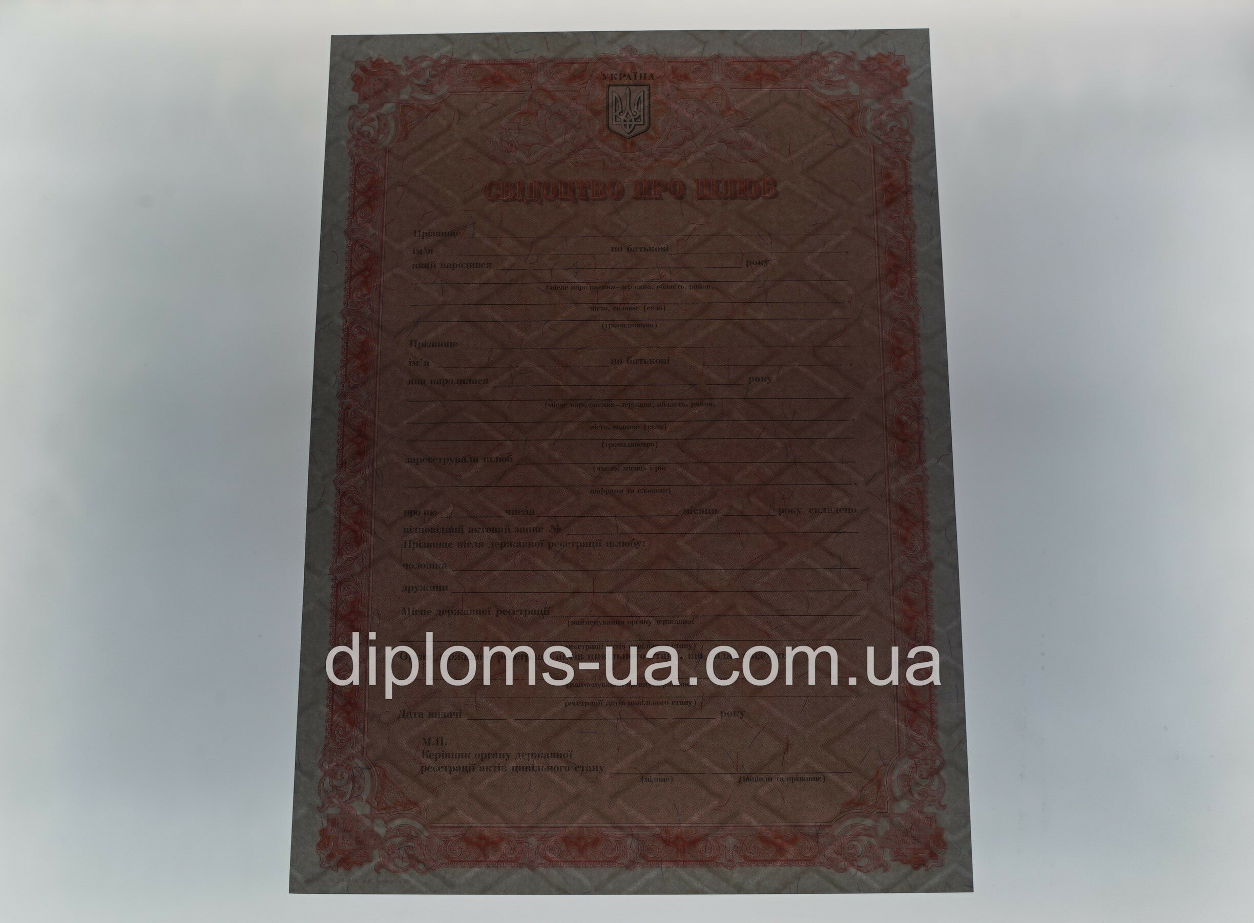 Свидетельство о браке - Фото 5 Свидетельство о браке - Фото 5