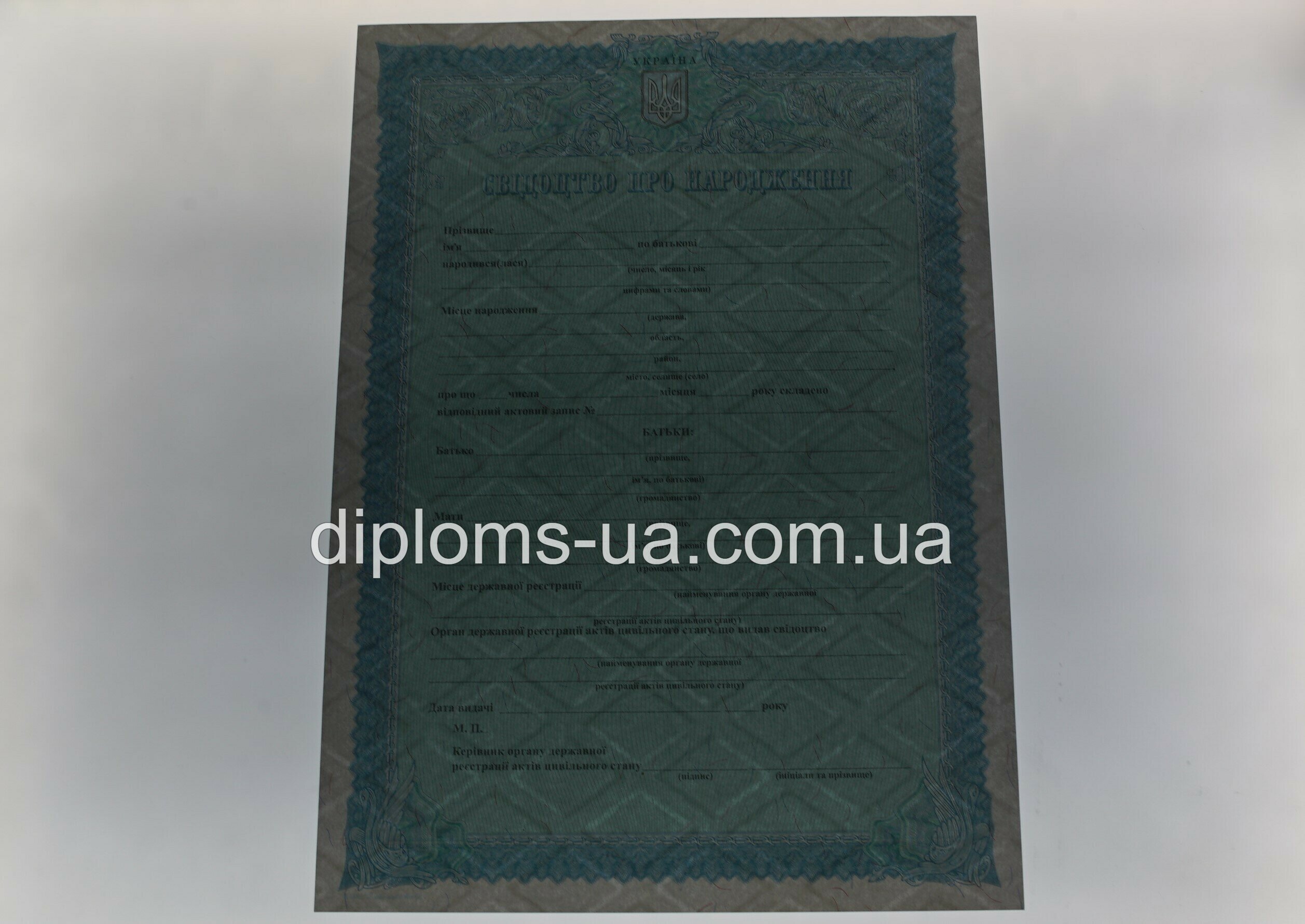 Свидетельство о рождении - Фото 5 Свидетельство о рождении - Фото 5